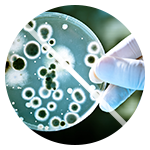 Дезінфекція